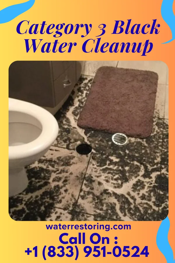 Category 3 Black Water Cleanup in Mosinee, WI