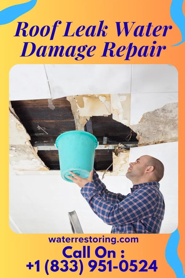 Roof Leak Water Damage Repair in Mosinee, WI